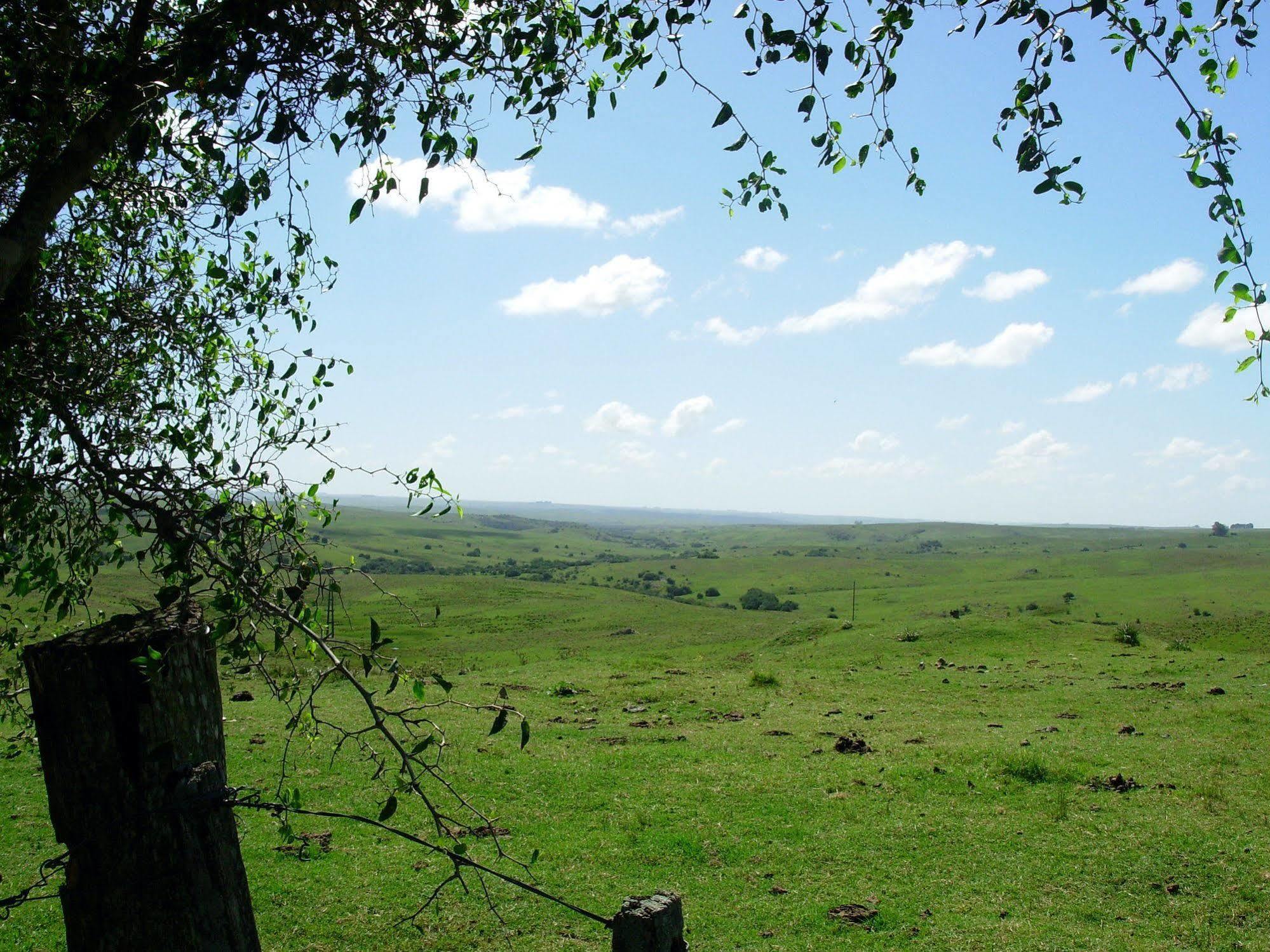 Casa rural Plátanos *